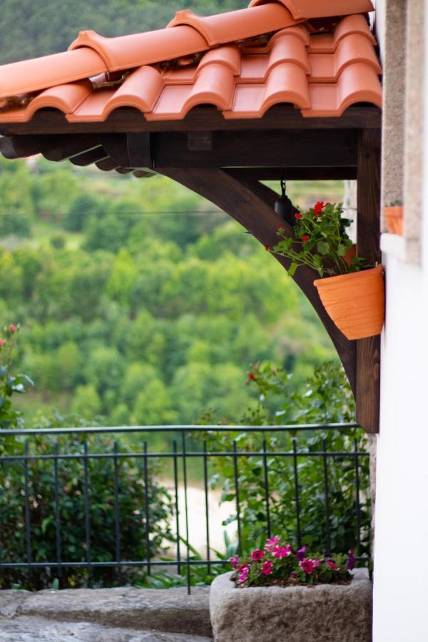Quinta Do Tapadinho - Wine & Tourism Βίλα Moimenta Εξωτερικό φωτογραφία