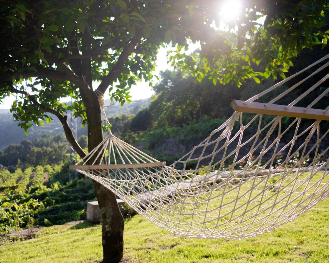 Quinta Do Tapadinho - Wine & Tourism Βίλα Moimenta Εξωτερικό φωτογραφία