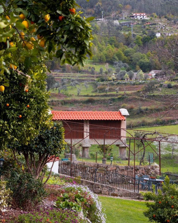 Quinta Do Tapadinho - Wine & Tourism Βίλα Moimenta Εξωτερικό φωτογραφία