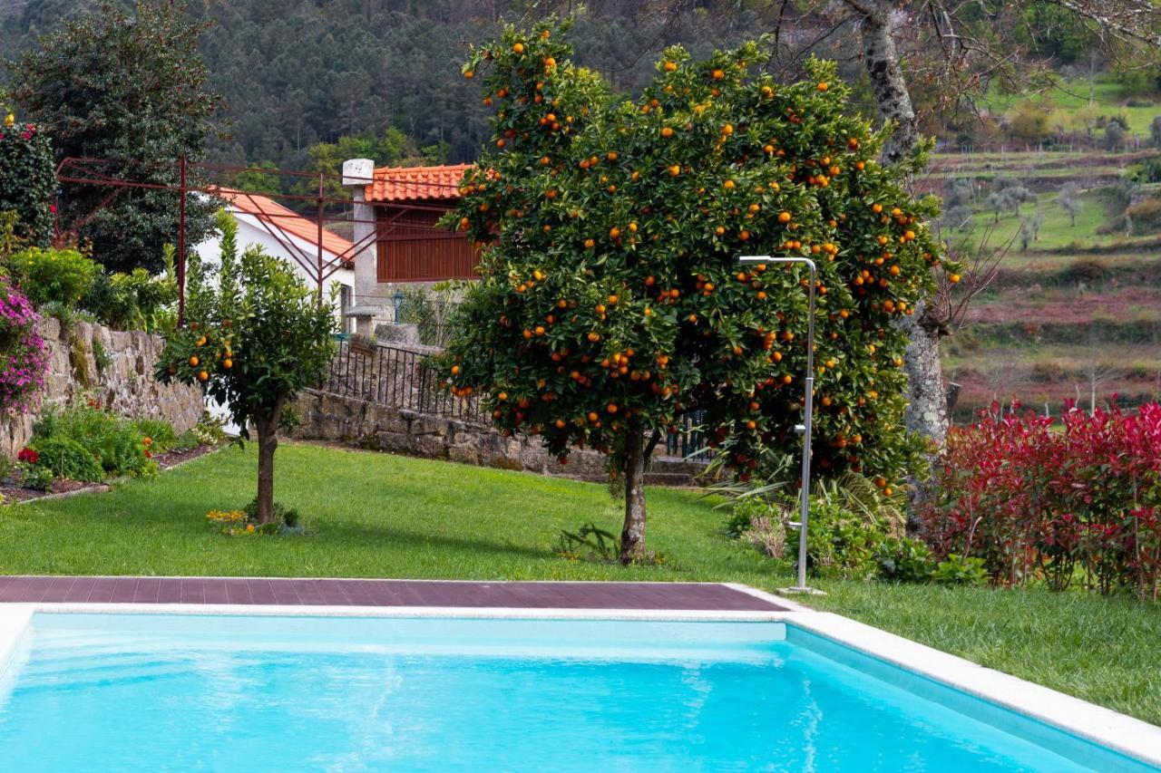 Quinta Do Tapadinho - Wine & Tourism Βίλα Moimenta Εξωτερικό φωτογραφία
