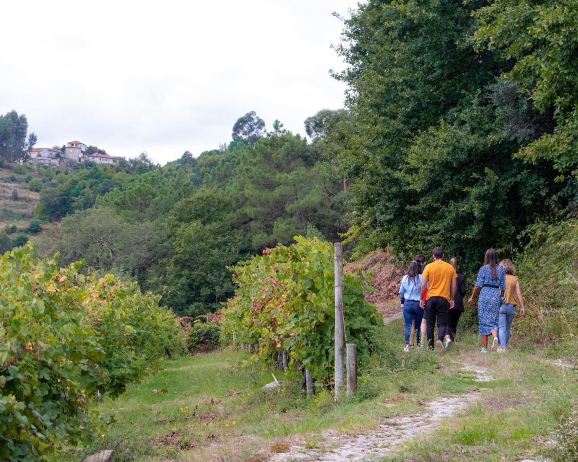 Quinta Do Tapadinho - Wine & Tourism Βίλα Moimenta Εξωτερικό φωτογραφία