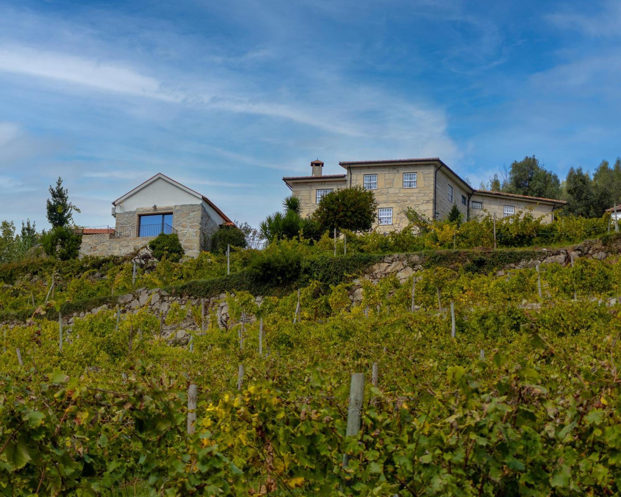 Quinta Do Tapadinho - Wine & Tourism Βίλα Moimenta Εξωτερικό φωτογραφία