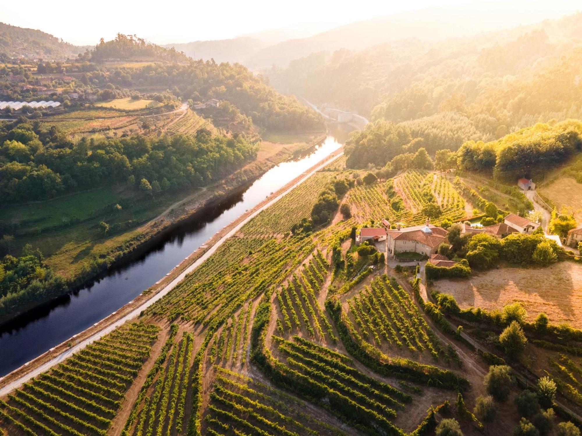 Quinta Do Tapadinho - Wine & Tourism Βίλα Moimenta Εξωτερικό φωτογραφία